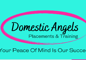 DOMESTIC ANGELS: Website Redesign & Branding